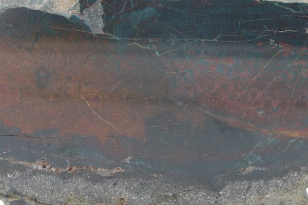 Jasper - Image 4