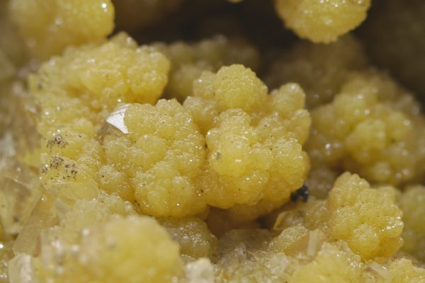 Mimetite - Image 9