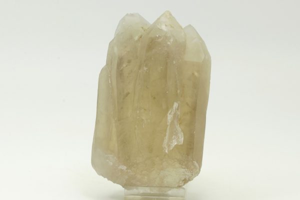Citrine - Image 4