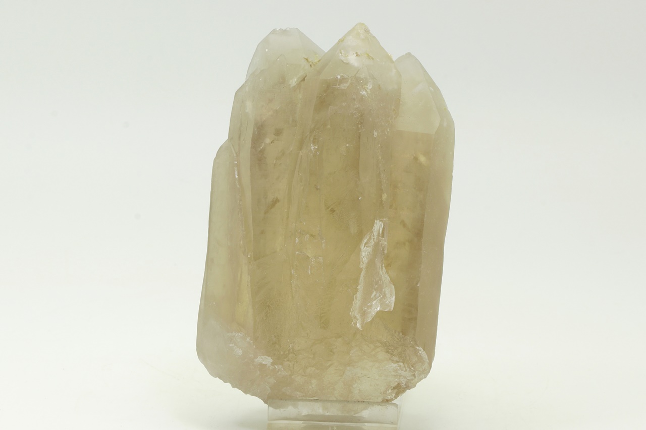 Citrine - Image 4