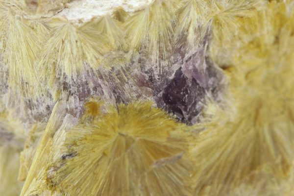 Carpholite - Image 6