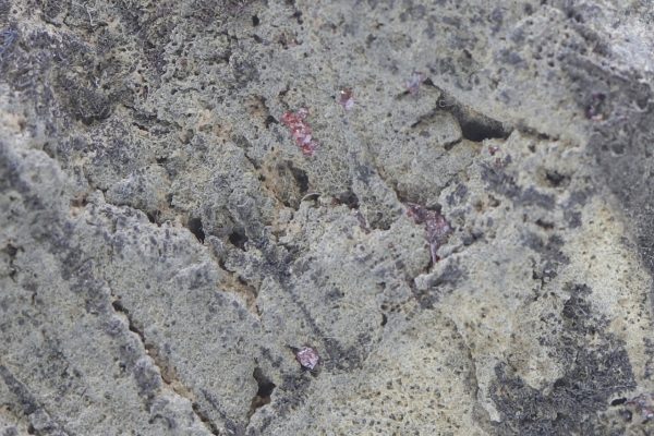 Arsenic, proustite - Image 8