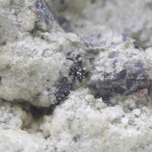 Argentopyrite