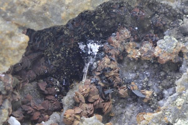 Cronstedtite, gypsum, siderite - Image 6