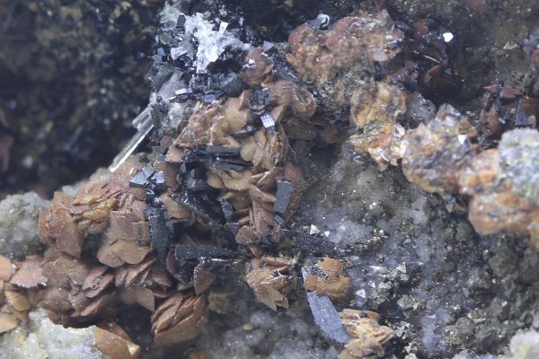 Cronstedtite, gypsum, siderite - Image 7