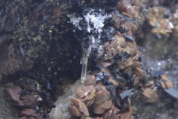 Cronstedtite, gypsum, siderite - Image 8