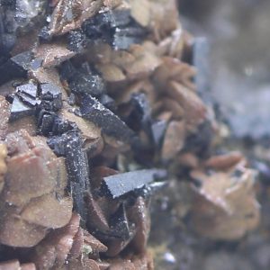 Cronstedtite, gypsum, siderite