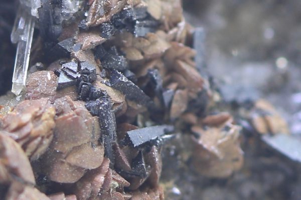 Cronstedtite, gypsum, siderite