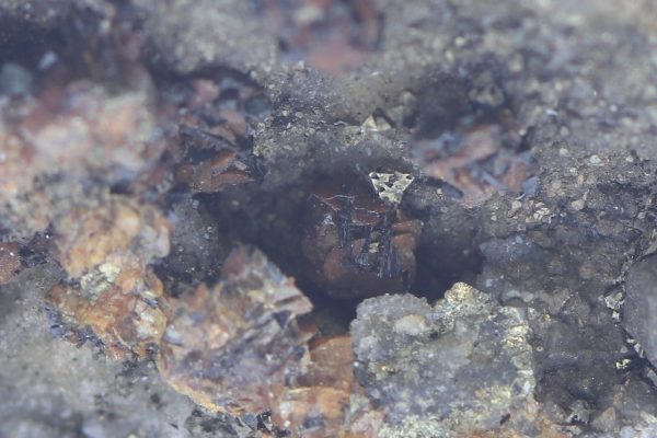Cronstedtite, gypsum, siderite - Image 12