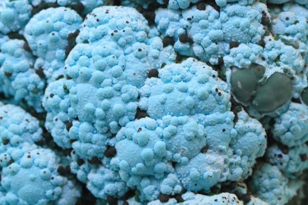 Chrysocolla, malachite - Image 12
