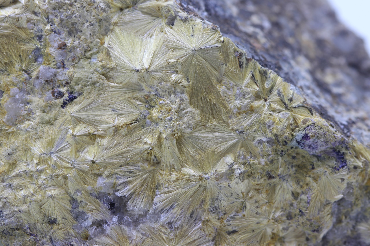 Carpholite - Image 6
