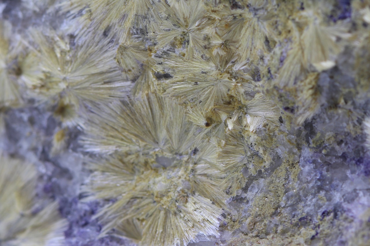 Carpholite - Image 8