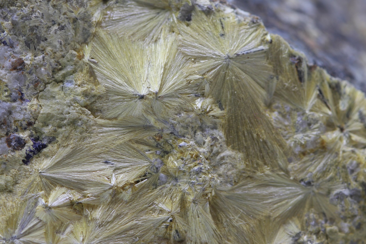 Carpholite - Image 9