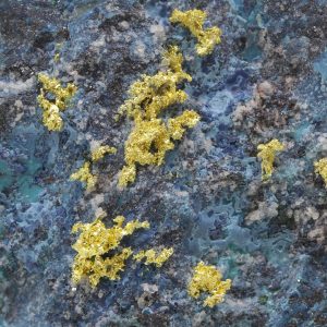 Gold, chrysocolla, shattuckite