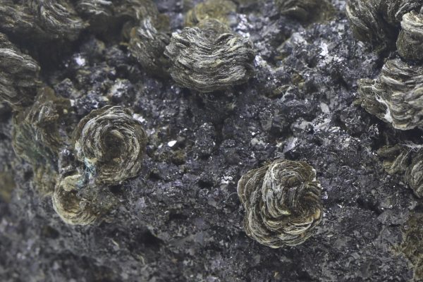 Hematite, chlorite - Image 7