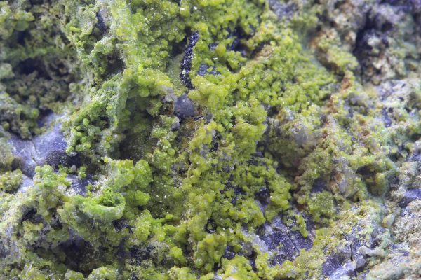 Pyromorphite - Image 7