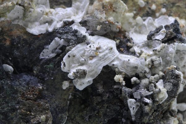 Haidingerite, brassite, pharmacolite - Image 6