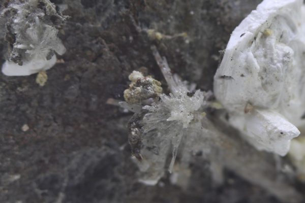 Haidingerite, brassite, pharmacolite - Image 9