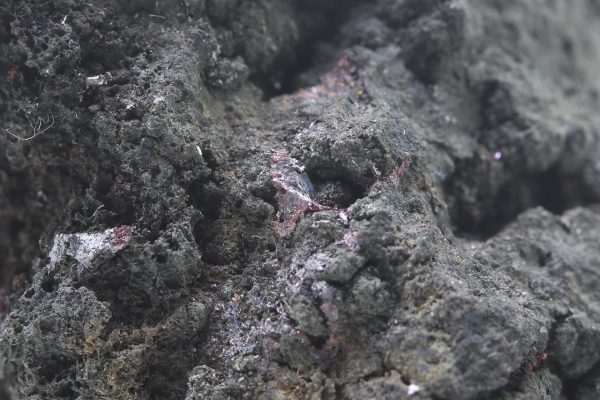 Arsenic, silver, proustite - Image 13