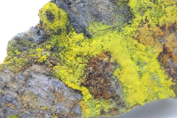 Sodium-zippeite - Image 4