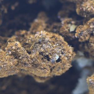 Goethite