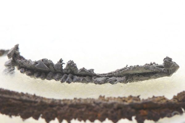 Silver - Image 6