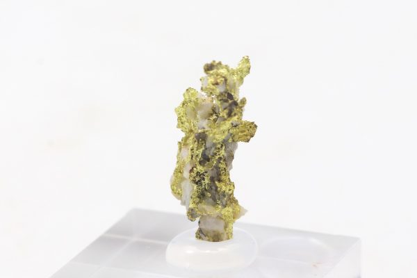 Gold - Image 2