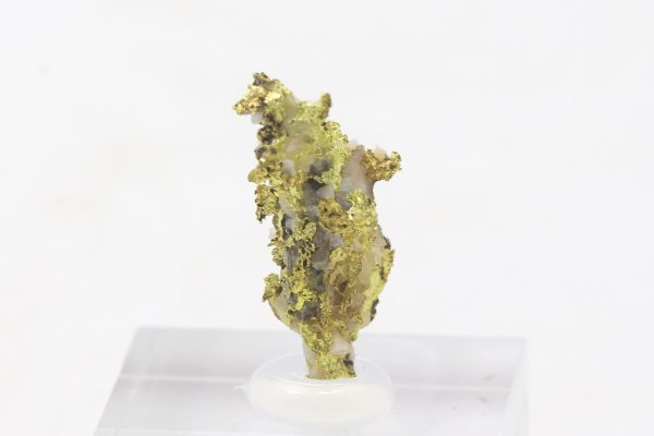 Gold - Image 3
