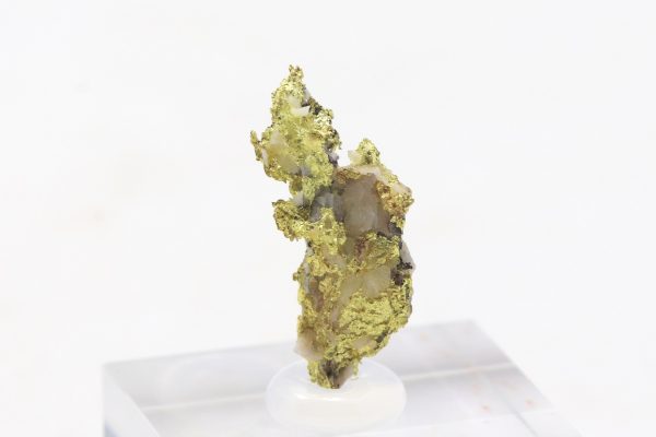 Gold - Image 4