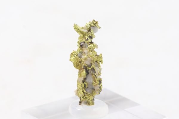 Gold - Image 5