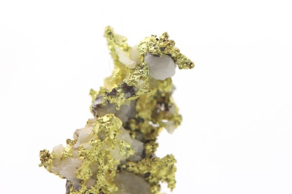 Gold - Image 6