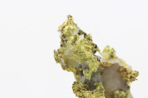 Gold - Image 7