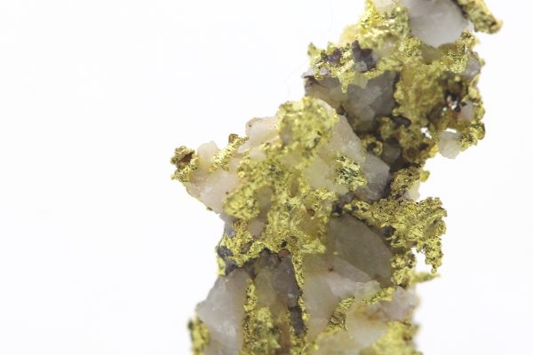 Gold - Image 8