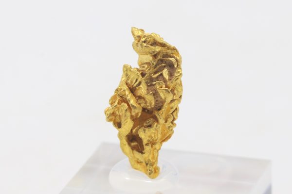 Gold - Image 2