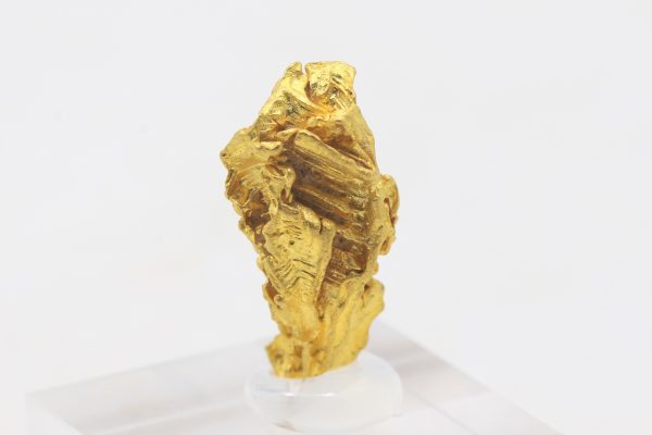 Gold - Image 4