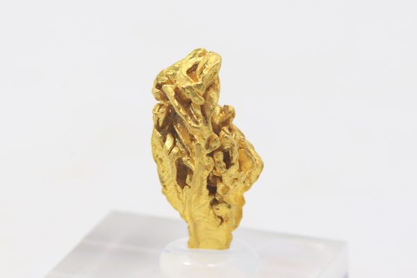 Gold - Image 5