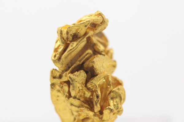 Gold - Image 6