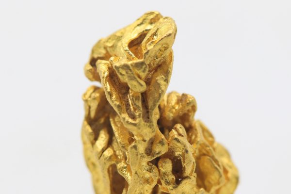 Gold - Image 12