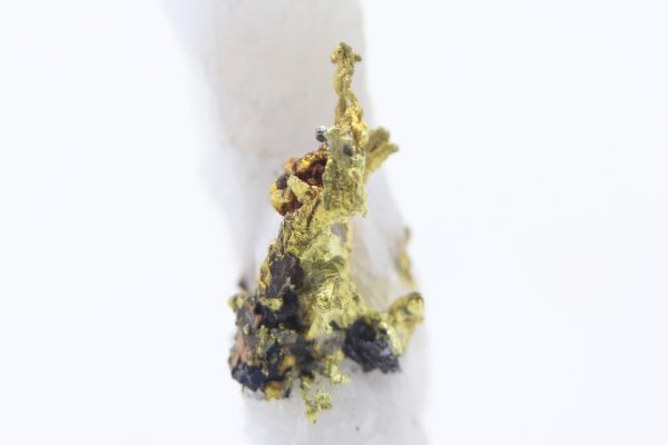 Gold - Image 7