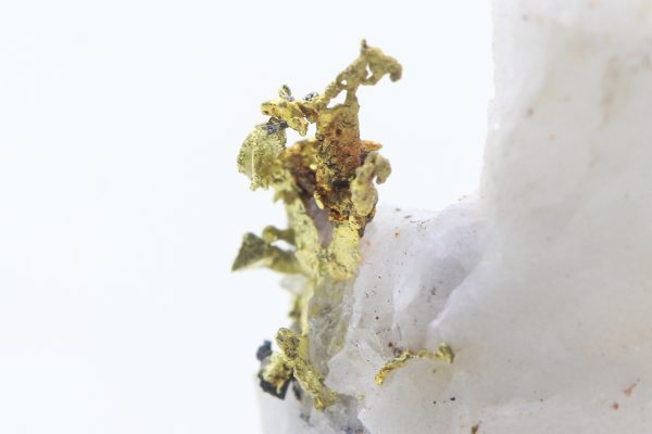 Gold - Image 9