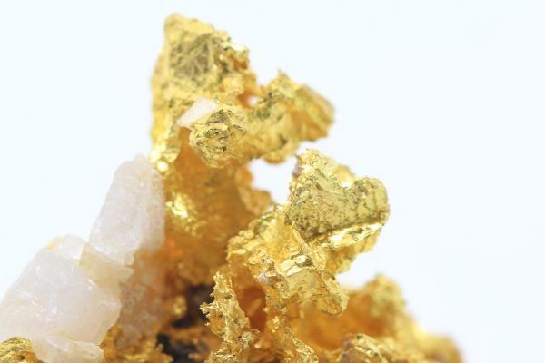 Gold - Image 12