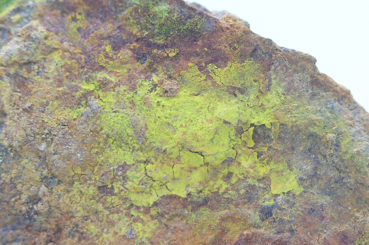 Rutherfordine - Image 5