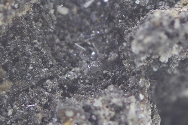 Arsenolite, claudetite - Image 8