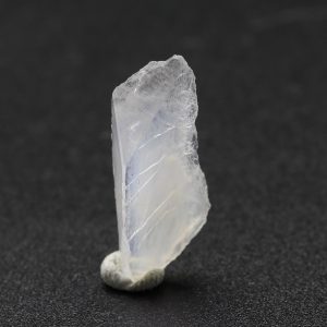 Whewellite