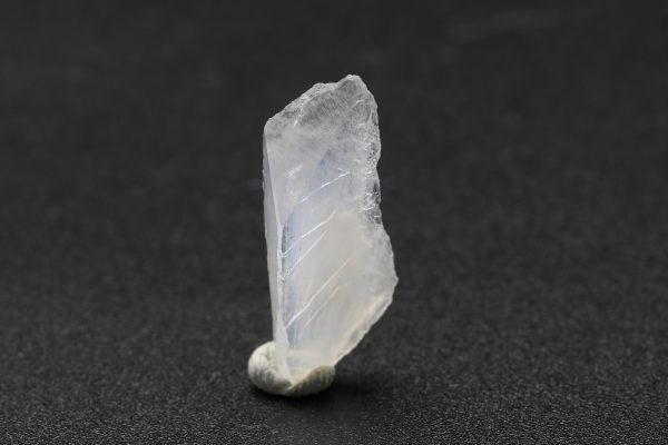 Whewellite