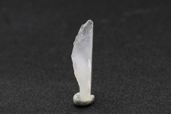 Whewellite - Image 8