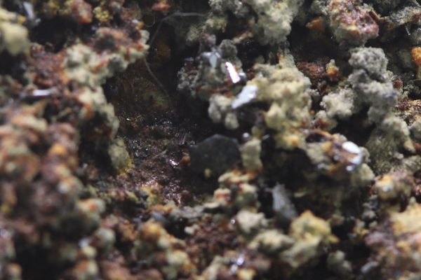 Stephanite - Image 7