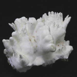 Aragonite