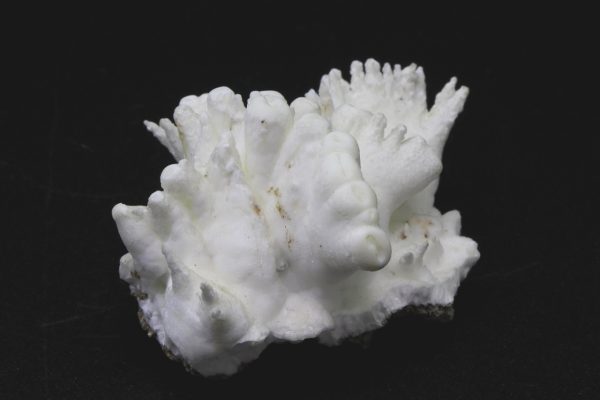 Aragonite