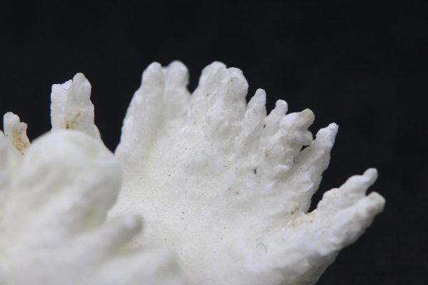 Aragonite - Image 6